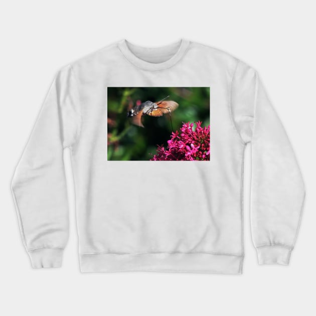 THE PANASONIC FZ 200 PAR OKAIO CREATION Crewneck Sweatshirt by caillaudolivier